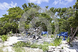 Little Stirrup Cay Beach Benches