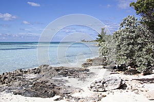 Little Stirrup Cay Island Rocky Beach