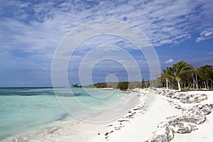 Little Stirrup Cay Morning Beach