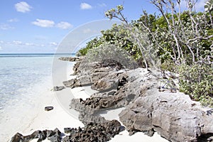 Little Stirrup Cay Rocky Narrow Beach