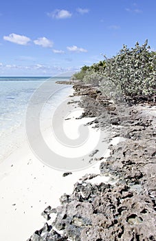 Little Stirrup Cay Rocky Sandy Beach