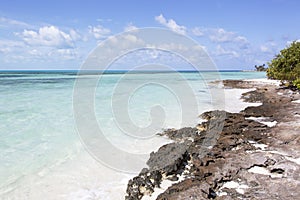 Little Stirrup Cay Rocky Shore And Transparent Water