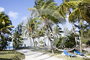 Little Stirrup Cay Tourist Beach In The Morning