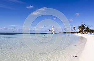 Little Stirrup Cay Tourist Beach With Seagulls