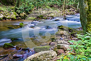 Little Stony Creek, Jefferson National Forest, USA