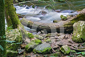 Little Stony Creek in the Jefferson National Forest, USA