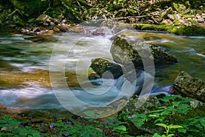 Little Stony Creek Trout Stream in the Jefferson National Forest, USA