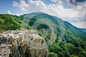 Little Stony Man Cliffs, along the Appalachian Trail, in Shenandoah National Park, Virginia.