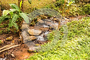 Little stream at Champa Thong waterfall photo