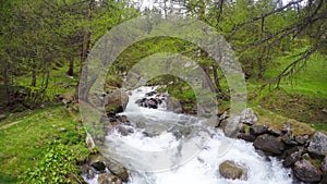 Little stream flowing in idyllic uncontaminated environment