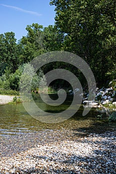 Little stream in Parco del Ticino, Italy. Vertical shot