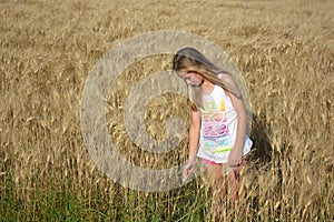 Little summer girl in wheat field