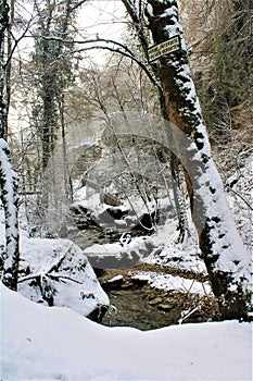 Mullerthal, Luxembourg - January 2024 - river and forest under snow