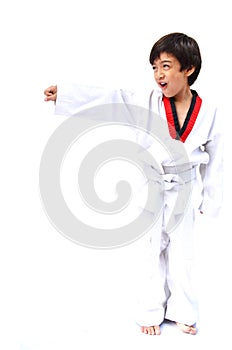 Little tae kwon do boy martial art