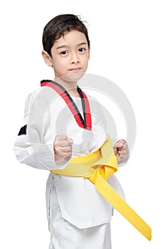 Little tae kwon do boy martial art yellow belt