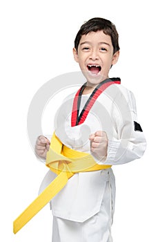 Little tae kwon do boy martial art yellow belt photo