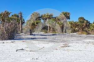 Little Talbot Island State Park, Florida