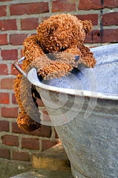 Little teddybear climbing