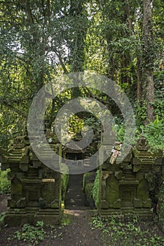 Little temple in the jungle in Bali.