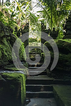 Little temple in the jungle in Bali.