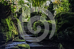 Little temple in the jungle in Bali.