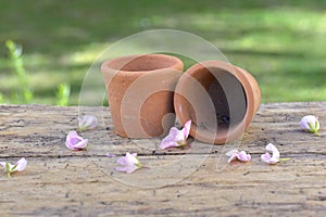 Little terra cotta empty flowerpots and petals flower on a table