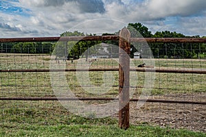 Little Texas Farm Life The Life of a GOAT