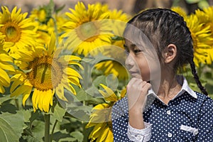 Little Thai girl in sunflower field.