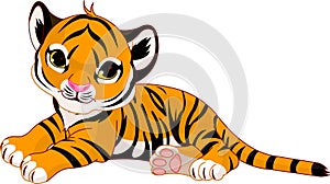 Little tiger cub resting