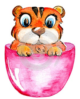 Little Tiger in a cup watercolor illustration. Year 2022 symbol is cute funny tiger cub, hand drawn character, cartoonish and chil