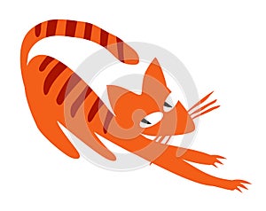 Little tiger. A striped, red cat stretches