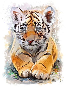 Little tiger watercolor painting