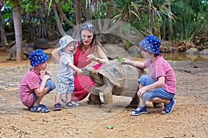 Little toddle boy, feeding giant tortois, baby got bitten, mom having terrified look on her face
