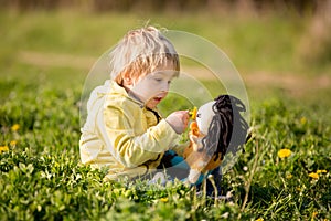 Little toddler blond child, boy, playing with handknitted doll photo