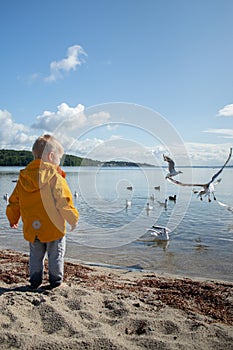 A little toddler boy on the beach watching gull birds in the water, wearing yellow jacket, cloudy weather with sunshine