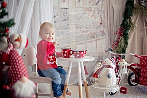 Little toddler boy, drinking tea and eating cookies with plush toy on a snowy day