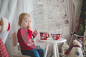 Little toddler boy, drinking tea and eating cookies with plush toy on a snowy day