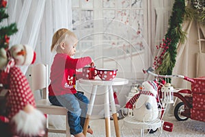 Little toddler boy, drinking tea and eating cookies with plush toy on a snowy day