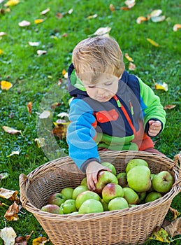 Little toddler boy eating apple