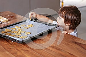 Little toddler boy making homemade cookies putting shapes at baking tray at home.