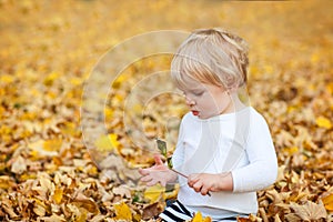 Little toddler boy playing in autumn park