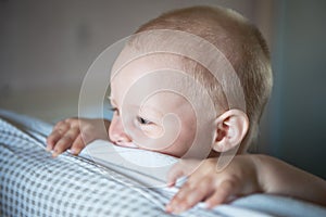 Little toddler boy playing on the bed. Cute kid smiling and hiding under cover. Palyful and mischievous eyes. Hide-and-seek.