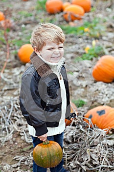 Little toddler boy on pumpkin field