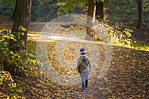 Little toddler boy walking alone through autumn forest. Path in life. Bullying in school concept. Scare and fright. Back