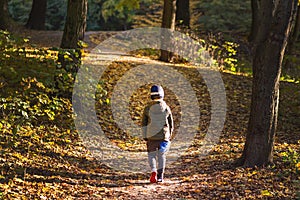 Little toddler boy walking alone through autumn forest. Path in life. Bullying in school concept. Scare and fright. Back