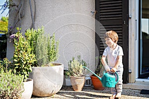 Little toddler boy watering flowers on patio terrace outdoors at spring. Home leisure activity at quarantine.
