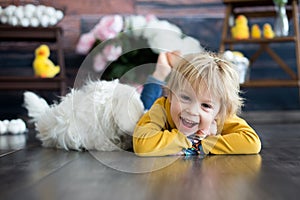 Little toddler child, blond boy, playing on mobile, lying on the floor with maltese pet dog