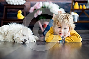 Little toddler child, blond boy, playing on mobile, lying on the floor with maltese pet dog