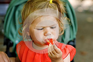 Little toddler girl eating red pepper and vegetables for healthy lunch snack sitting in baby stroller. happy child and