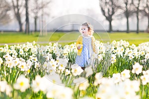 Little toddler girl field of white daffodil flowers